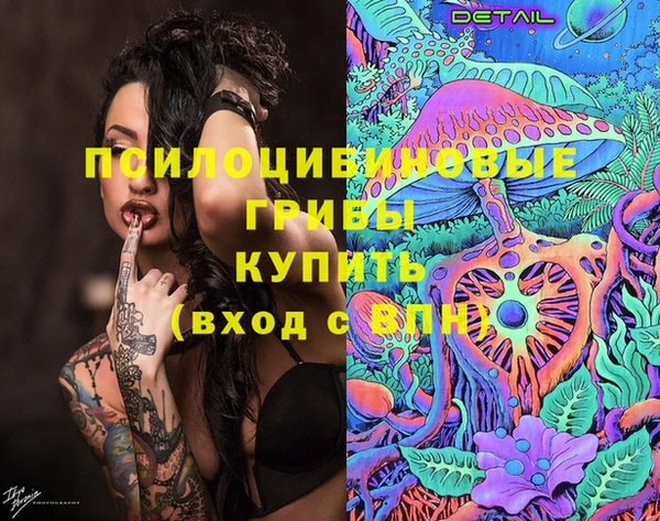 дмт Чегем