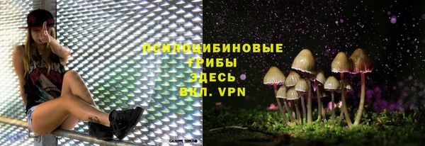 дмт Чегем