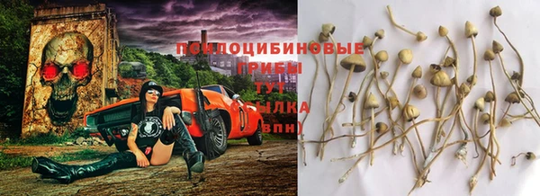 гашик Фурманов