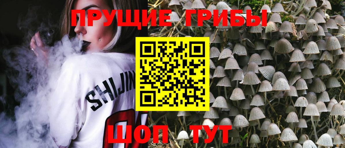 Галлюциногенные грибы ЛСД  Димитровград 