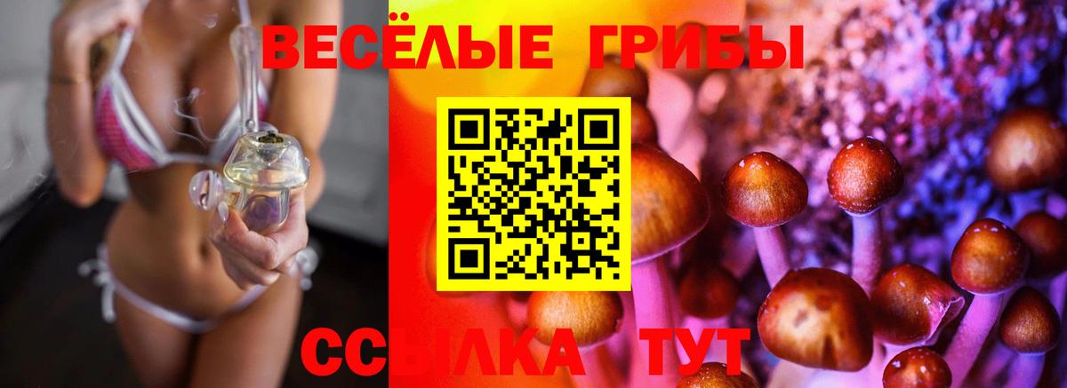 Галлюциногенные грибы GOLDEN TEACHER Димитровград