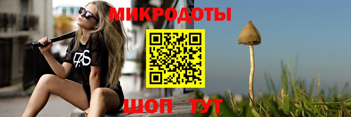 Димитровград  Галлюциногенные грибы Cubensis  Вход с VPN 